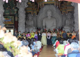 IMG_7533.jpg