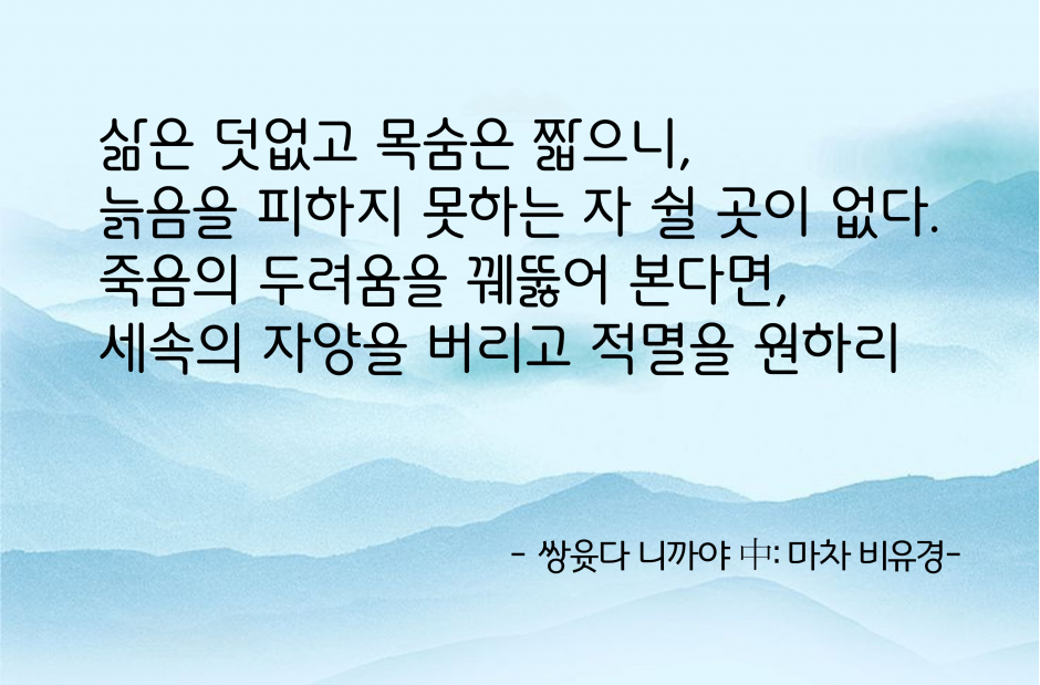 b7dfb23c65a94cf79647087e46a070b8_1741529141_1202.png